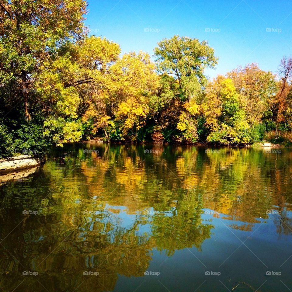 Fall in Minnesota