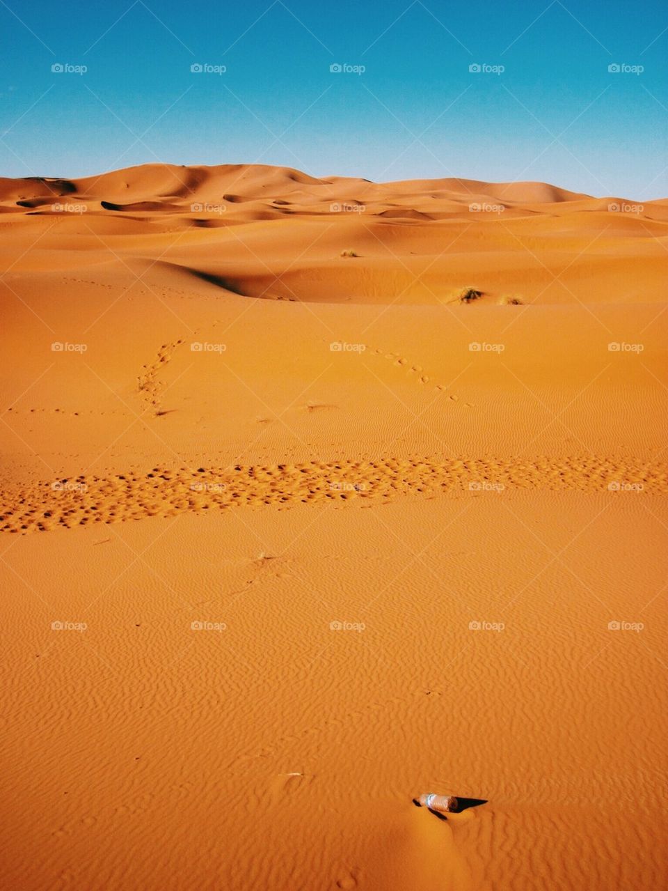 Bottle of water in the desert