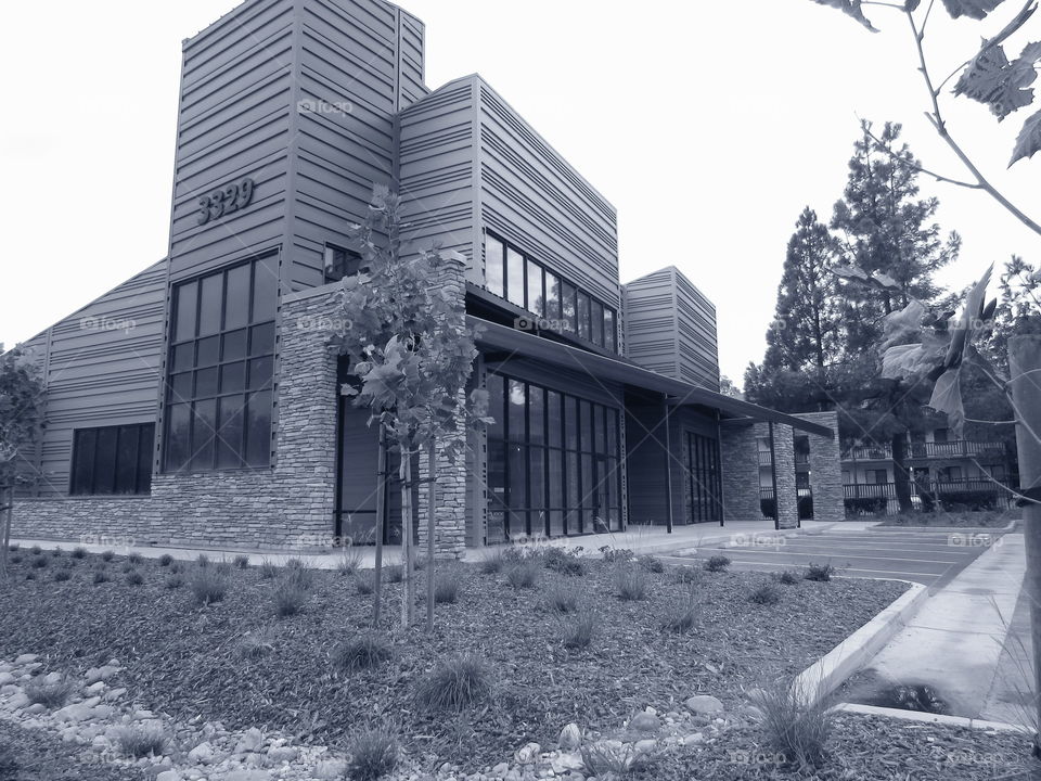 building. I took this picture  on my way to work one day