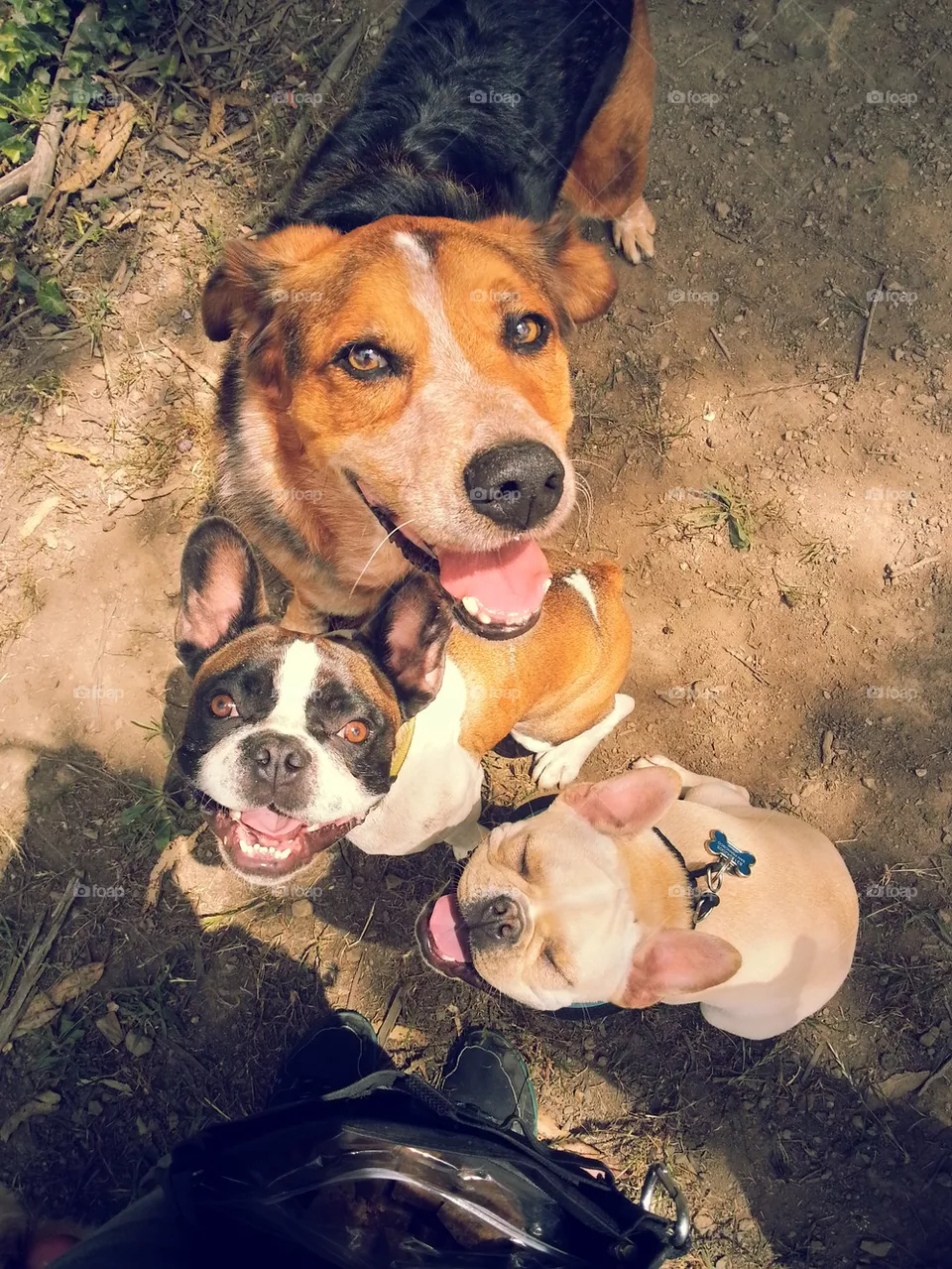 treat faces