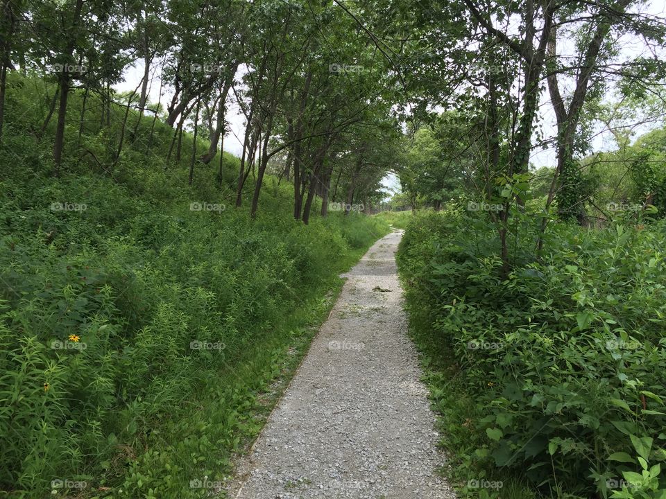 Landscape, Guidance, Road, Tree, No Person