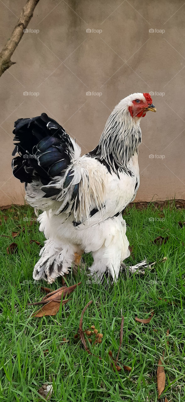 Doing that pose for the photo.