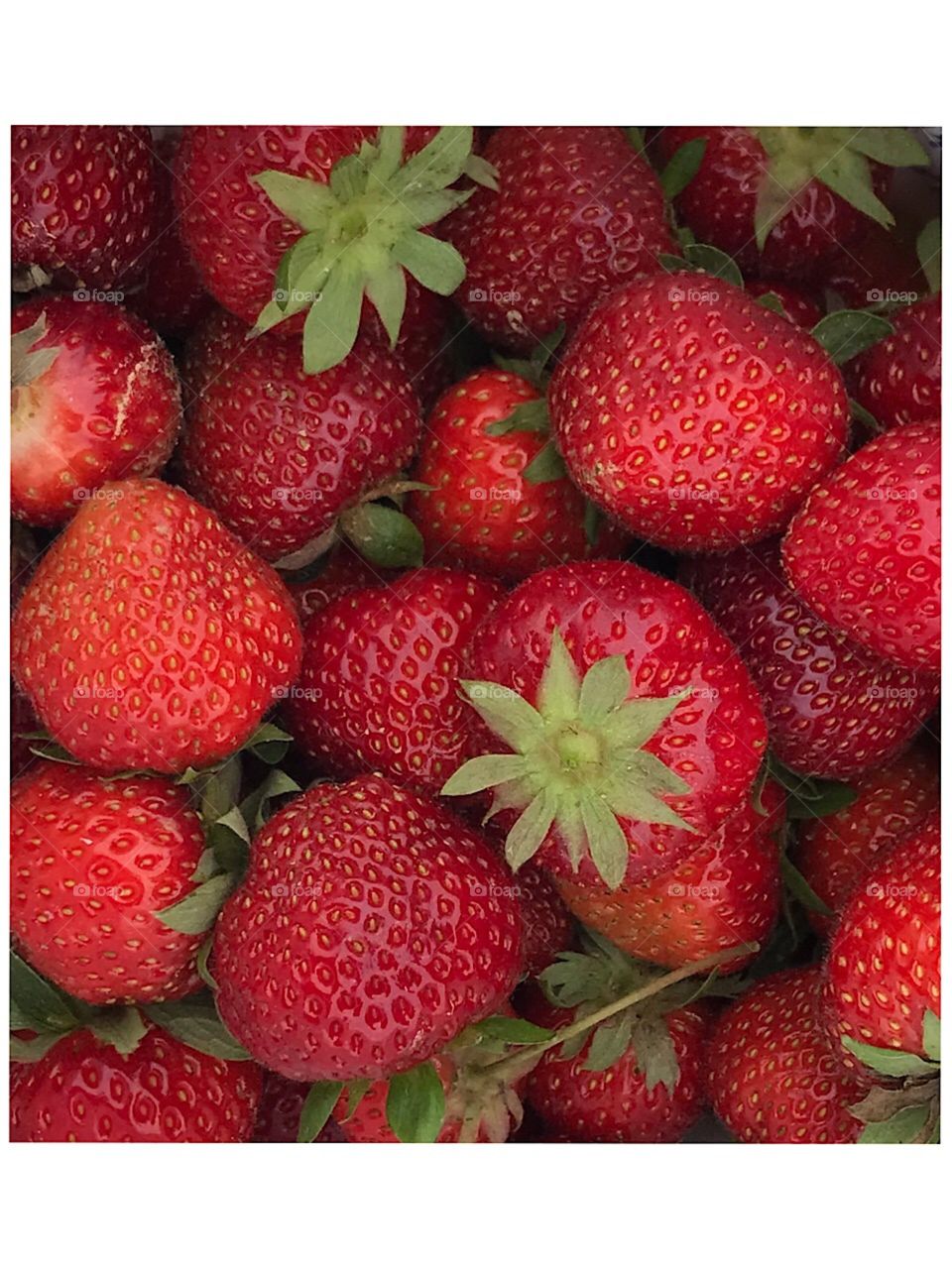 Fresh strawberries 