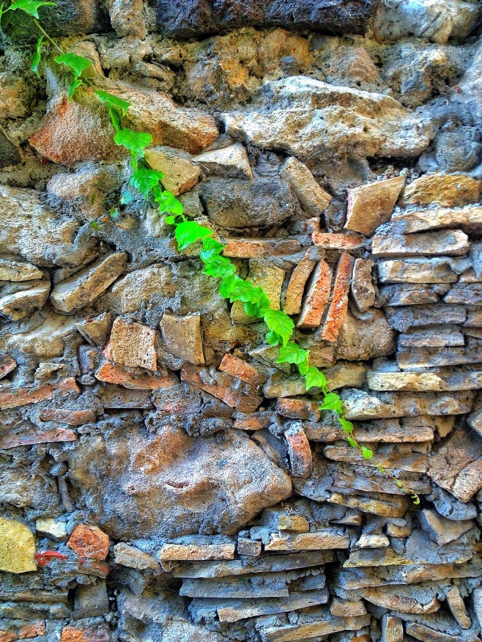 Close-up of green stone