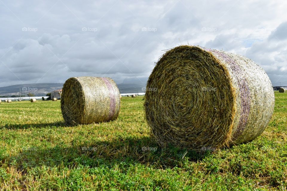 country side