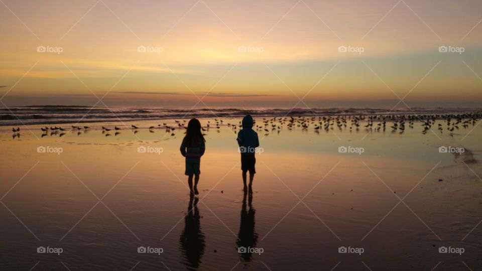 children at dawn  watching ocean birds