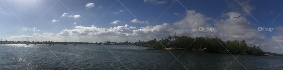 A shot of the harbor in Hollywood, FL