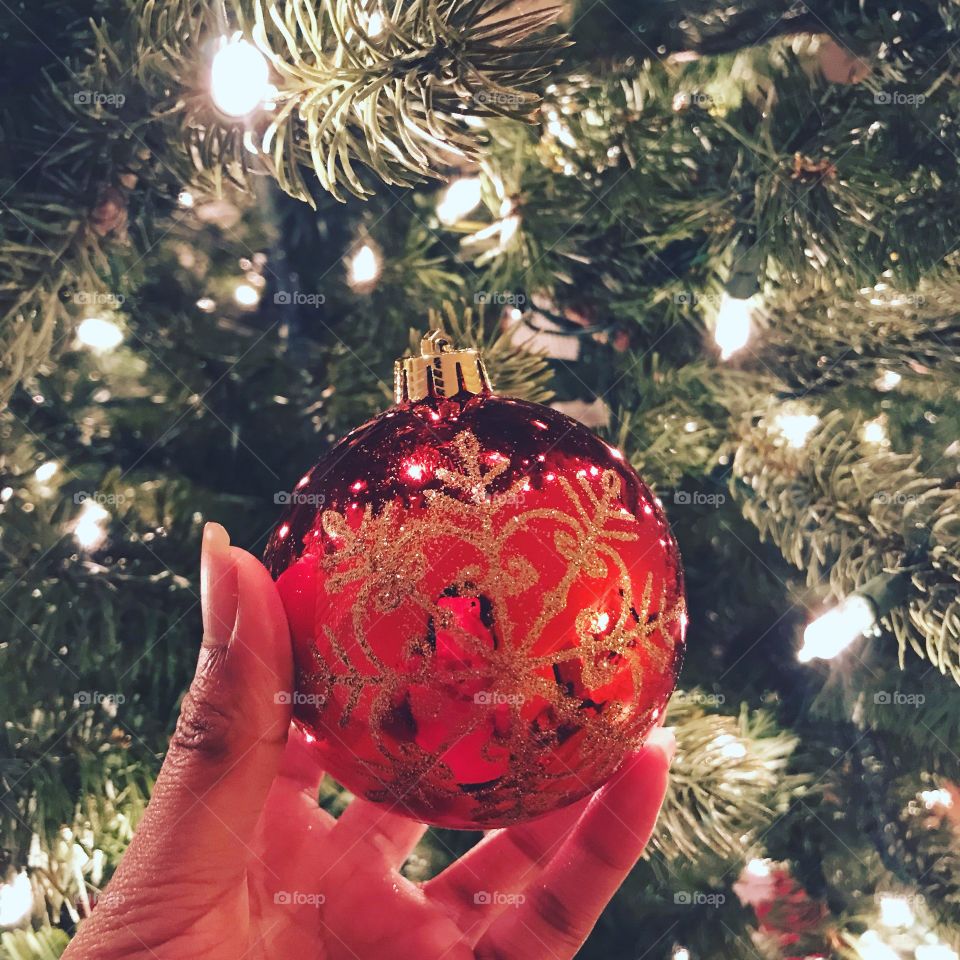 Red Ornament in the Christmas tree.