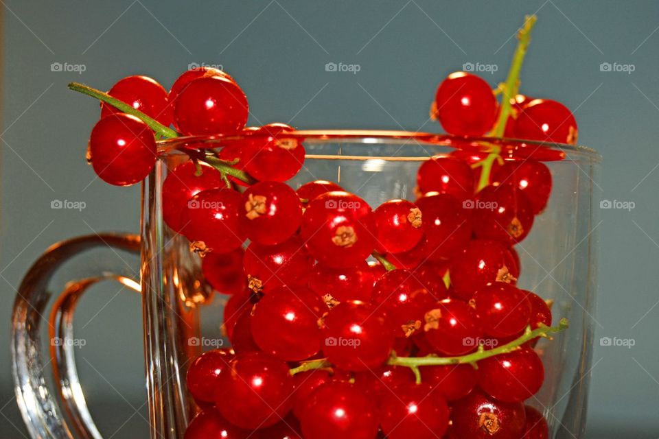 Cup of redcurrant 