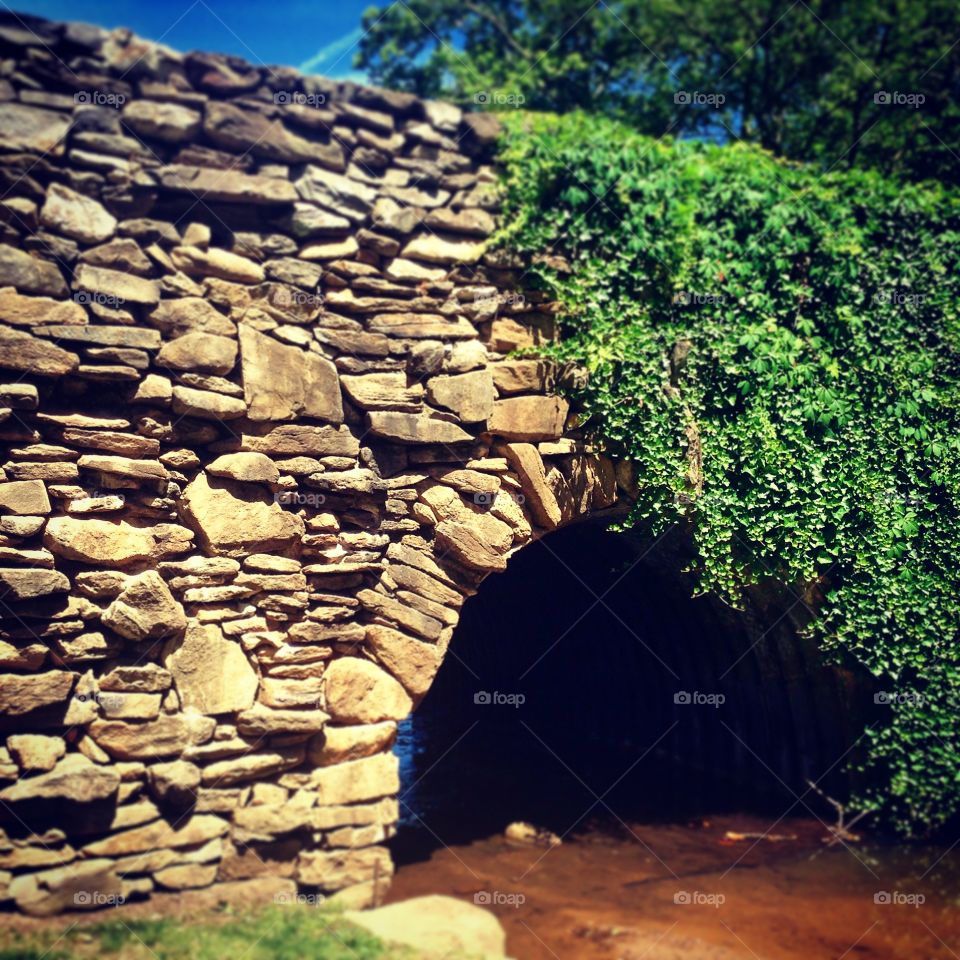 The bridge . A popular bridge for people to go for picnic.