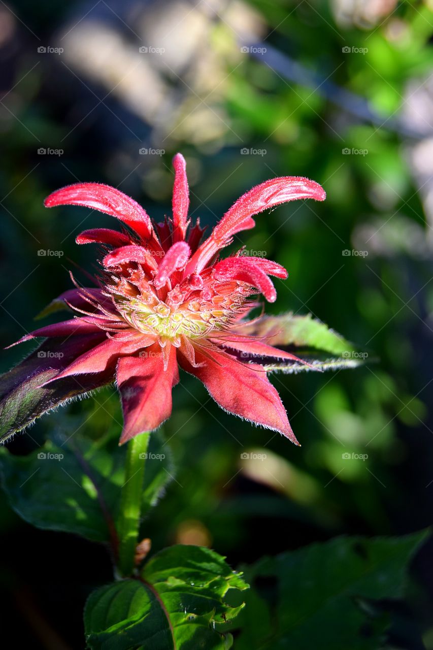 Ready for my close-up