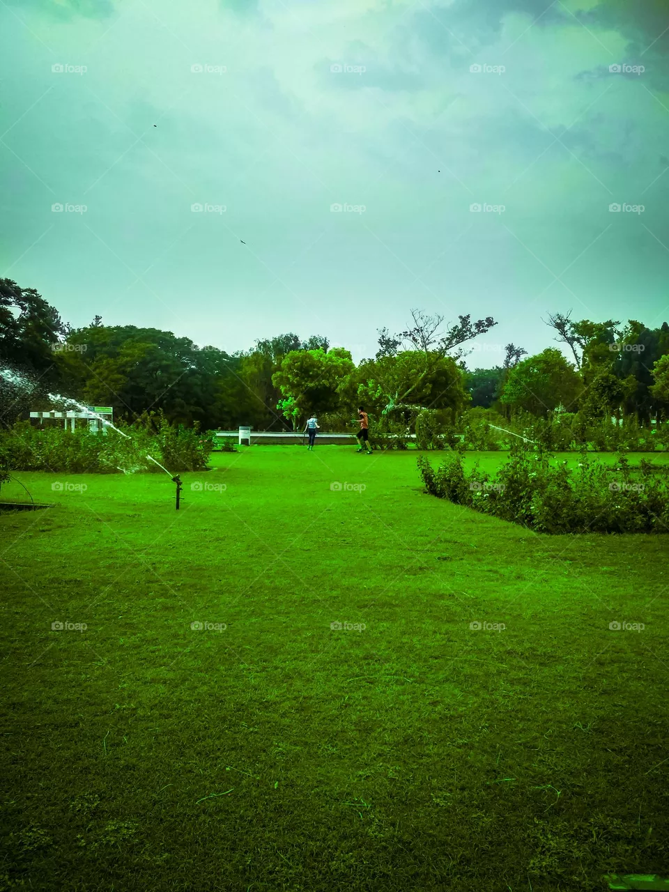 beautiful garden