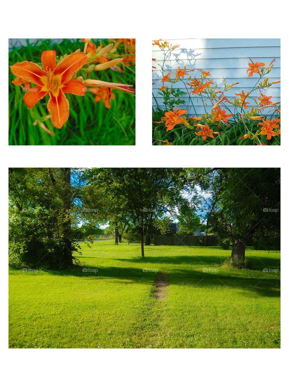 Spring Nature Triptych with Trees and Flowers