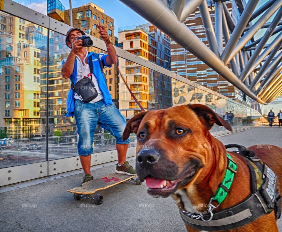Photographer with dog in Oslo