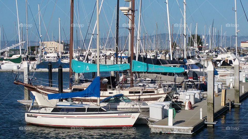 Boats at rest.