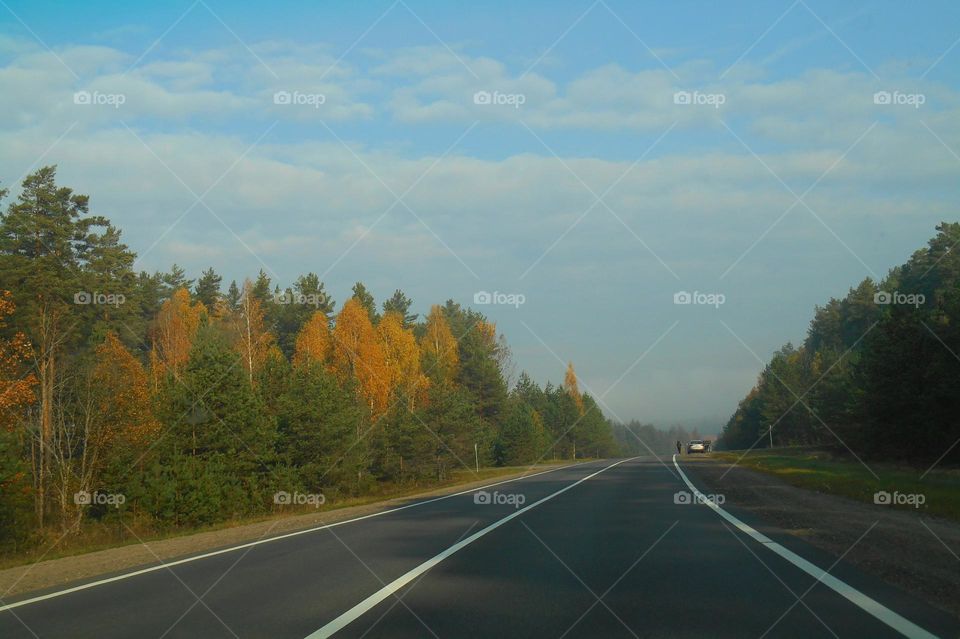 road car window view