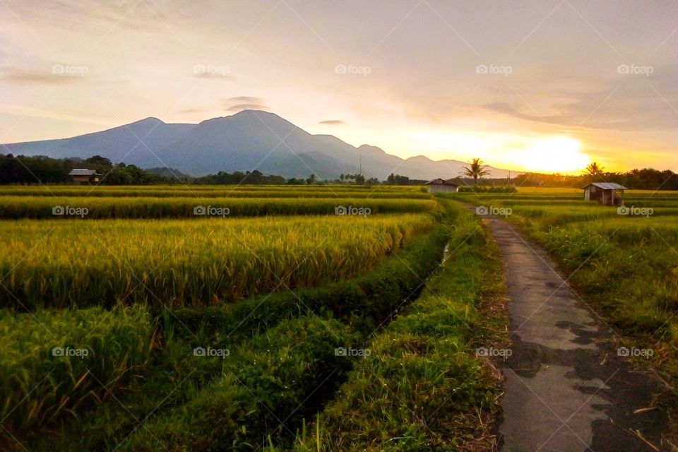 Sunrise in the morning