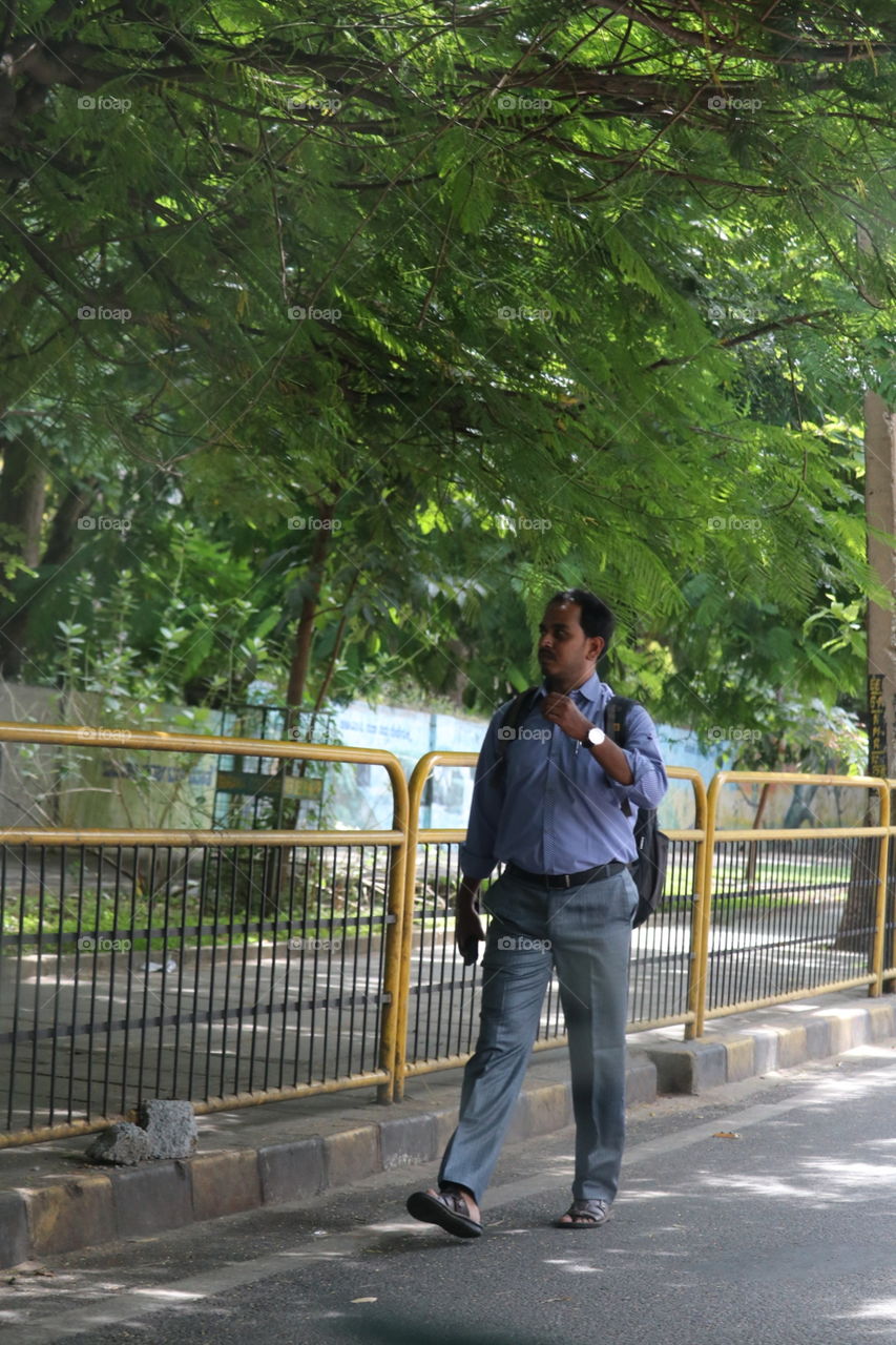 People, Tree, Adult, Road, Landscape