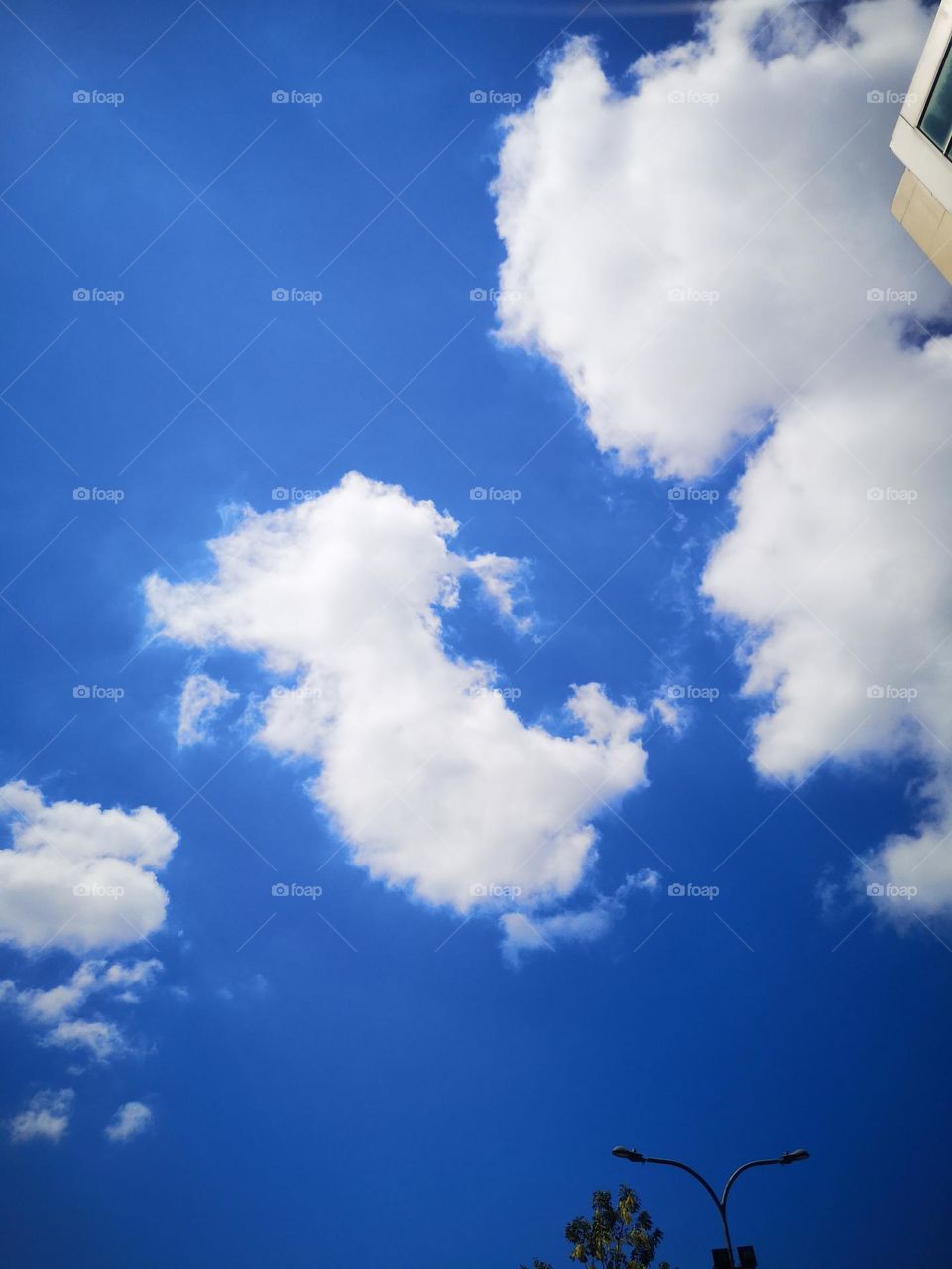 This unusual clouds shaped like dragons playing in the sky