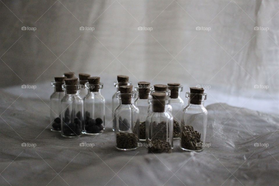 small glass containers with flower seeds inside