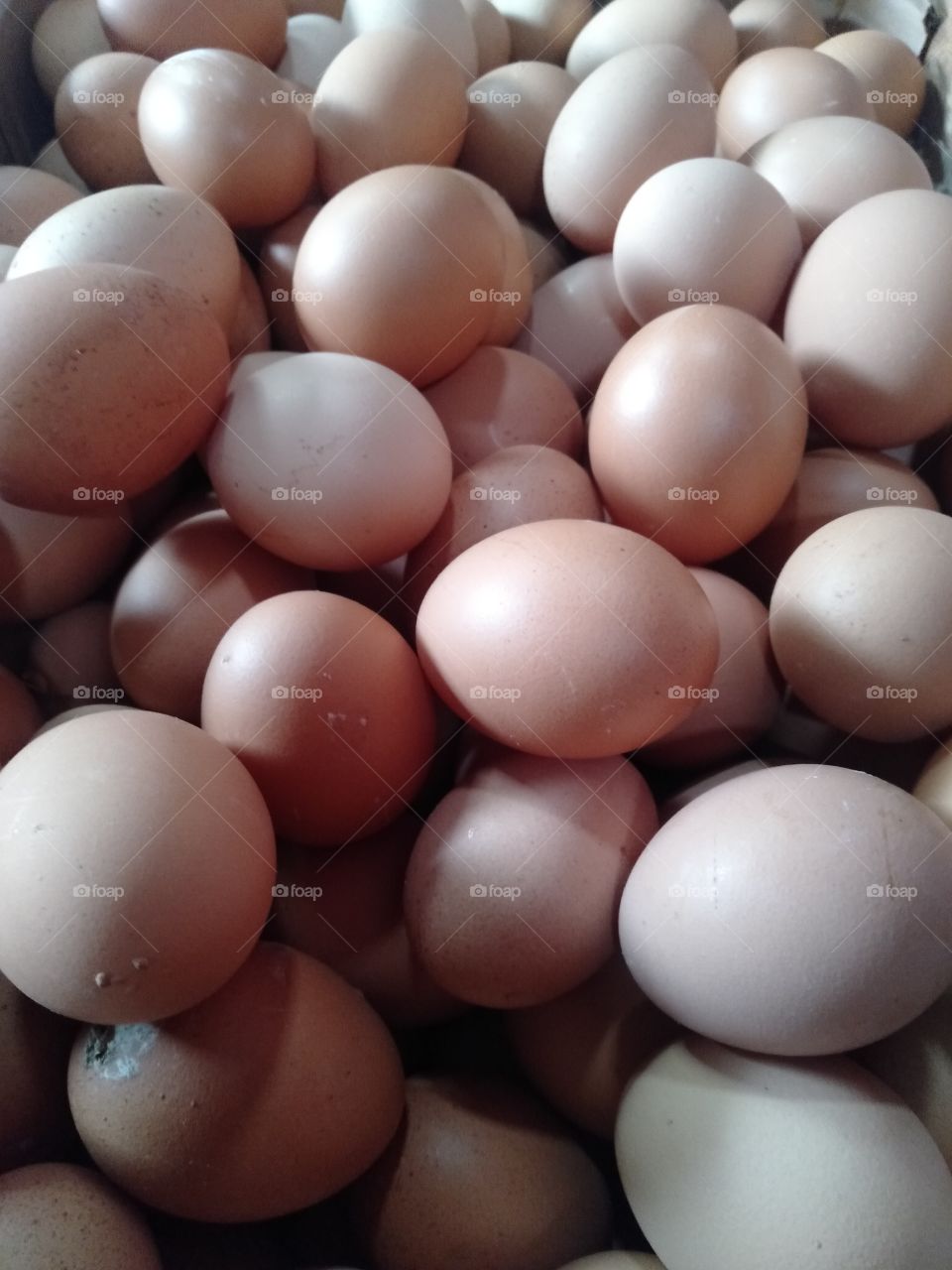 Chicken eggs are needed to make cakes and other dishes because they have a different taste from other types of side dishes so that chicken eggs can be used to mix various dishes.