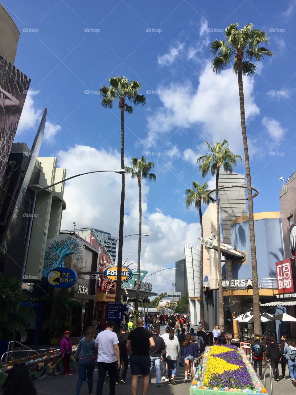 Universal studio 