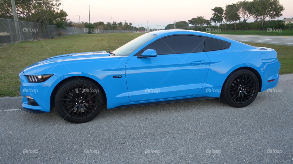Grabber Blue Mustang GT Roadside