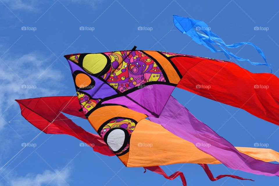 Colorful kites 