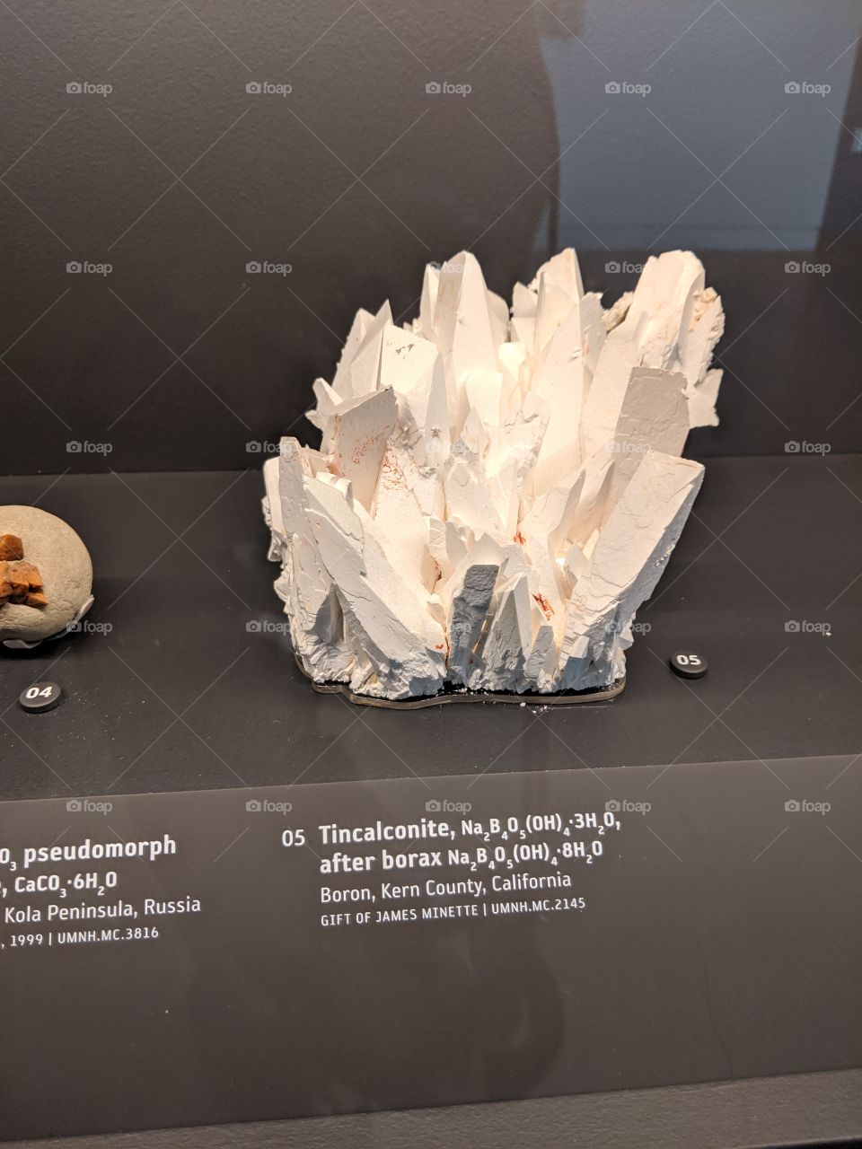 Rocks and Minerals at a Museum