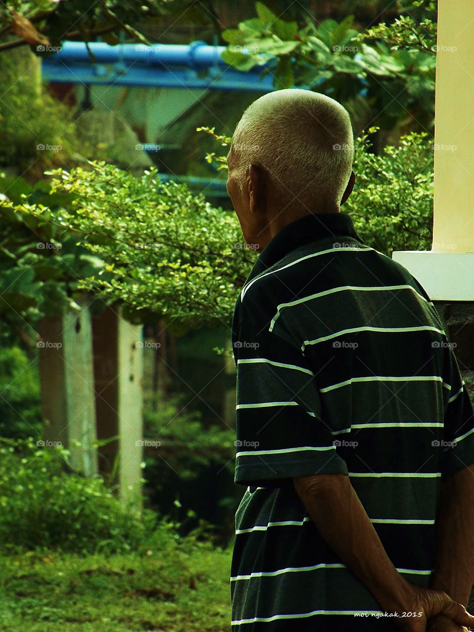 facing the day. facing the day