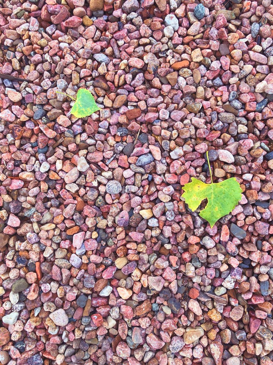 Pink Landscaping Stones - Barbie Style! Foap Mission