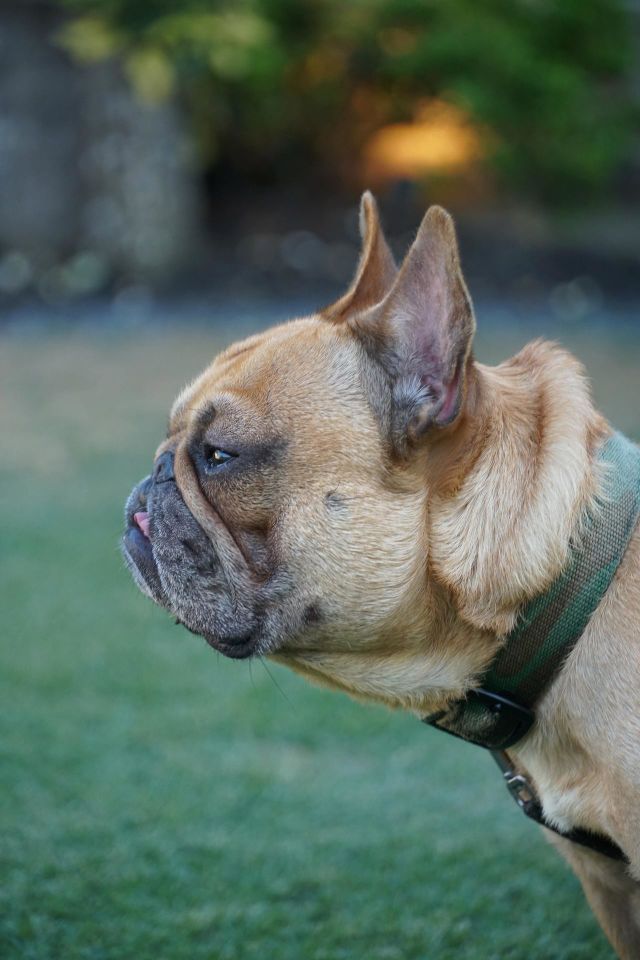 I can smell that Bbq..
