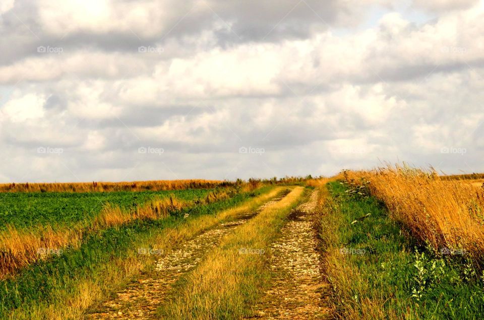 rural path