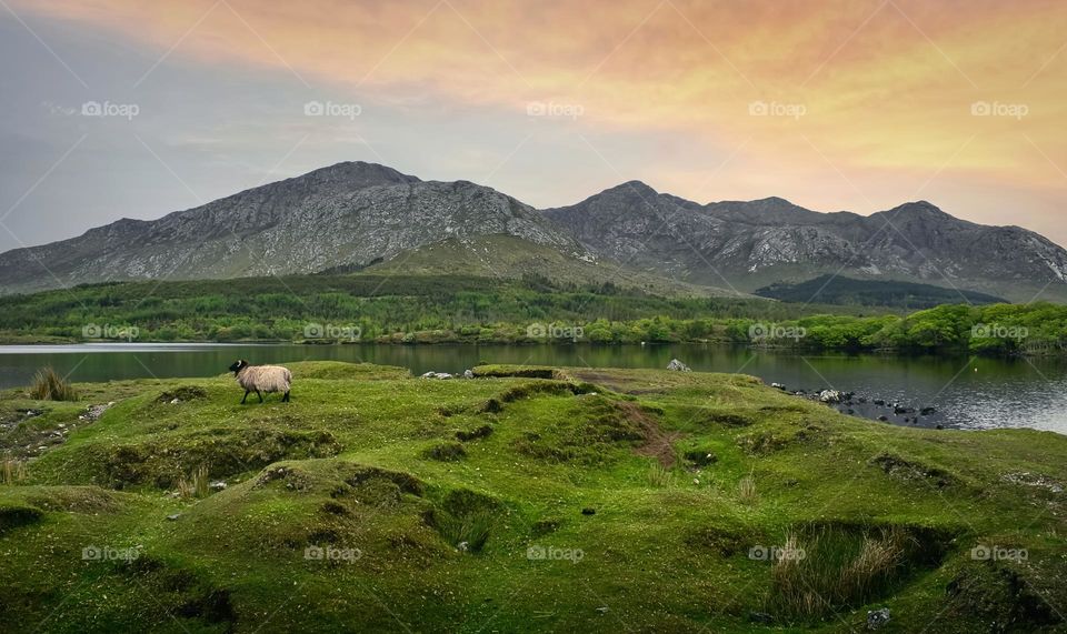 Green irish landscape at Lough Inagh in Connemara, county Galway