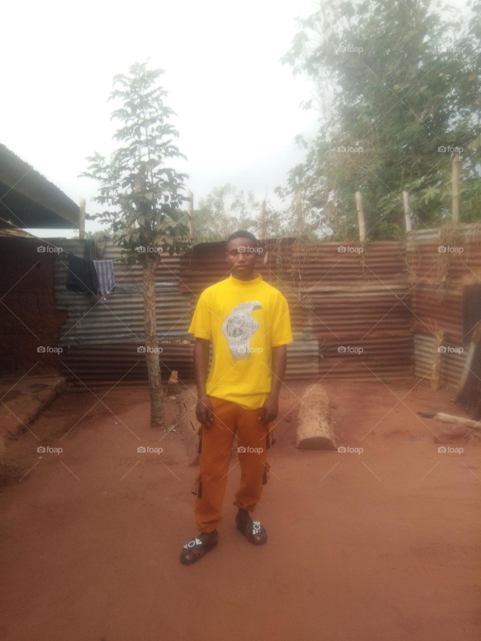 how much do you like this photo