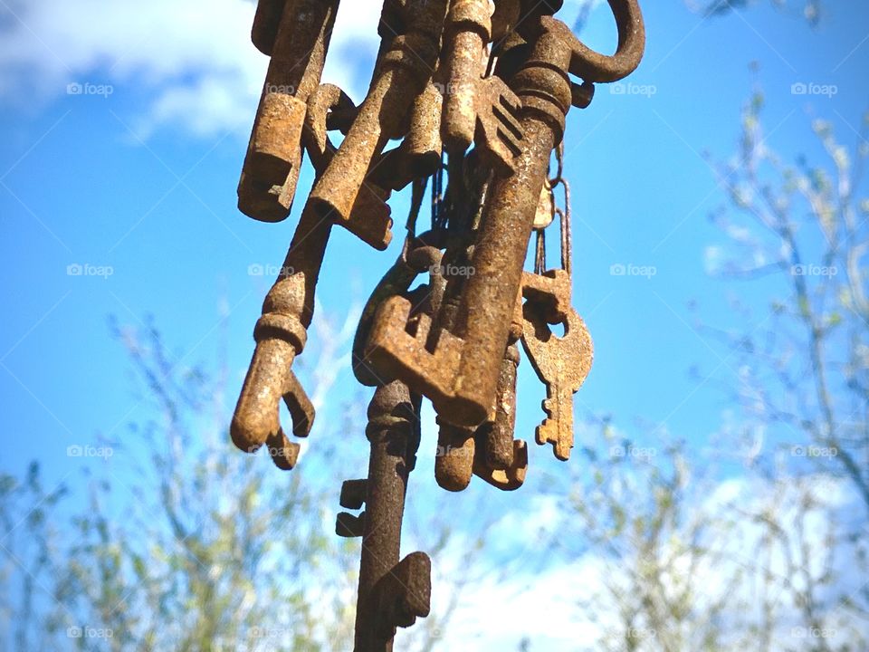 Rusty old metal keys hanging on a tree outdoors against the sky 