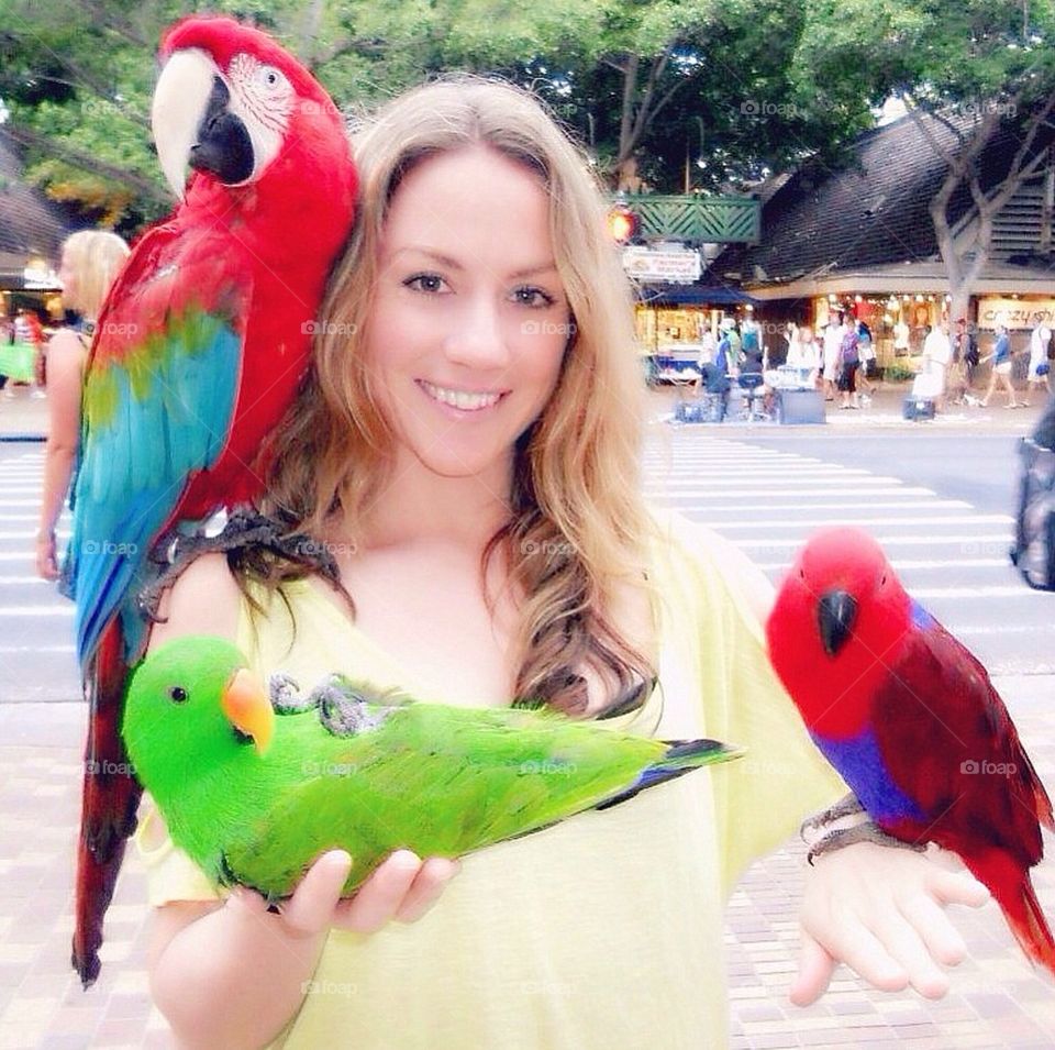 Colourful Birds with a Beautiful Girl