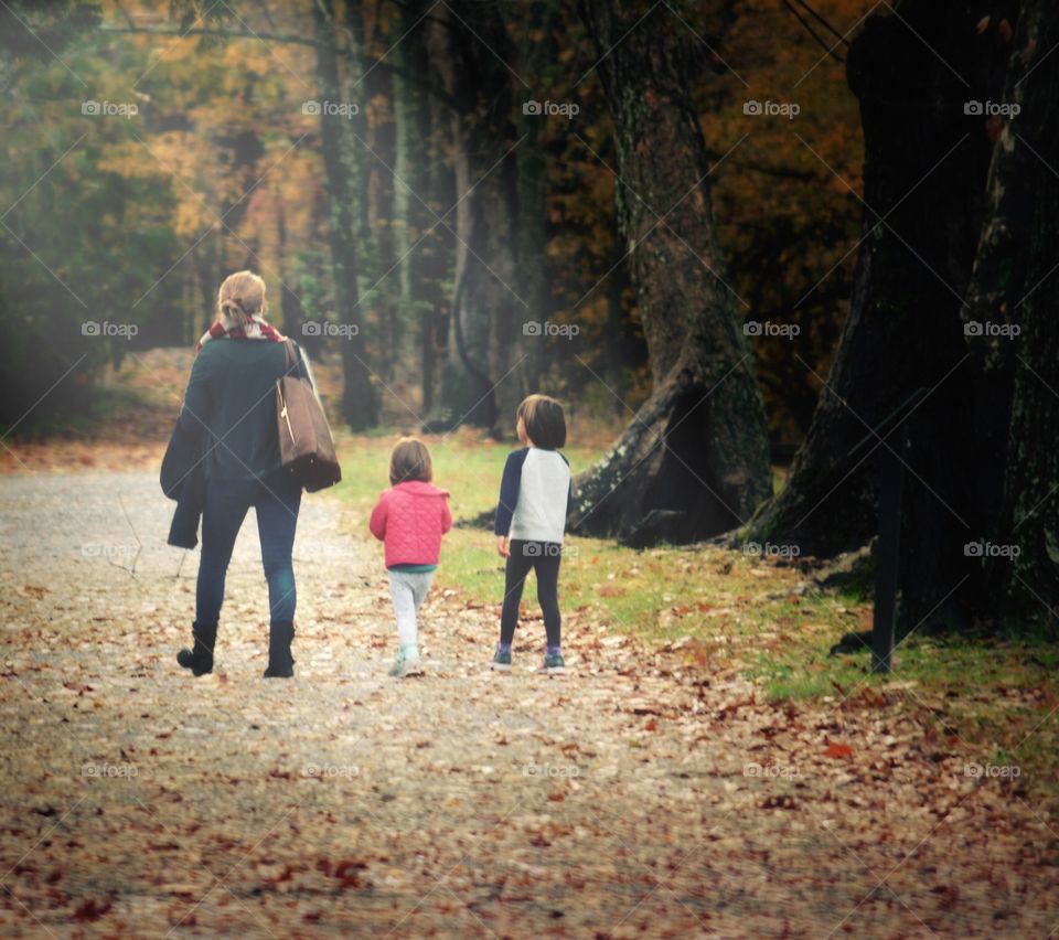 Family walk in the Forest