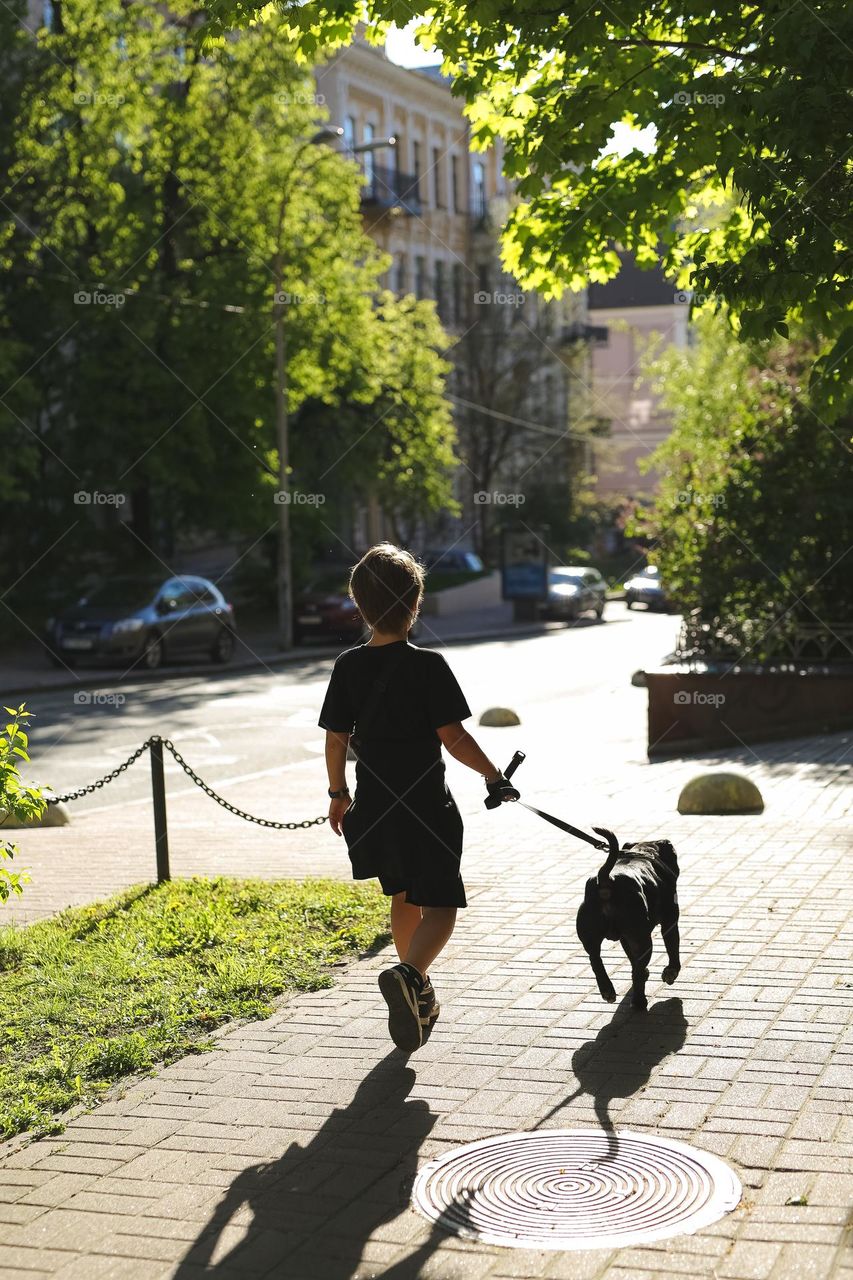 walking the dog down the street, the owner walks the weakling, teaches her, cleans up after her, educates, plays with his pet. people and dogs are best friends