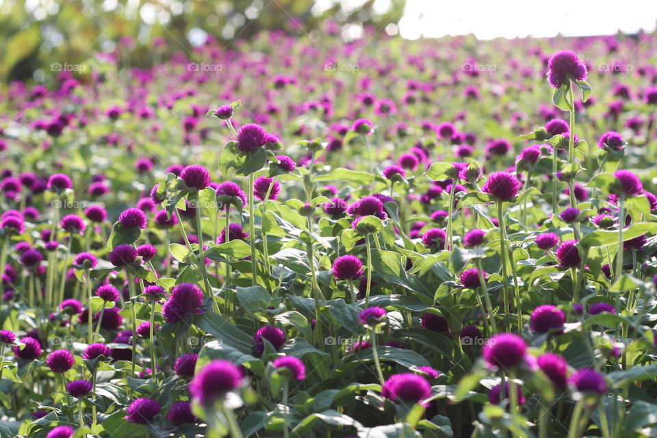 Beautiful in the ordinary