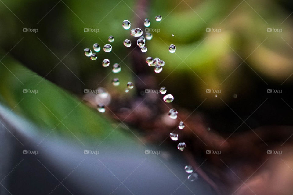Flying Droplets