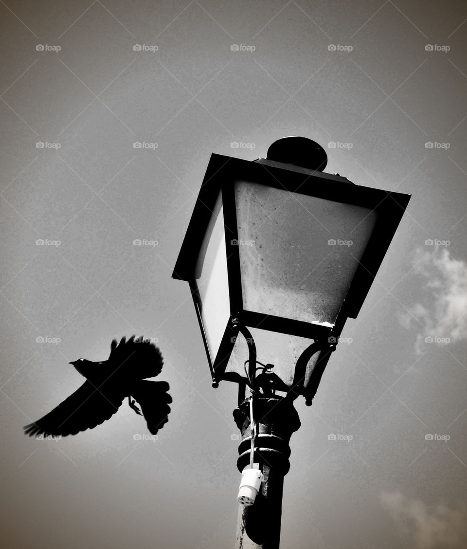 farola puerto rico street lamp lamppost by AymPhotoS