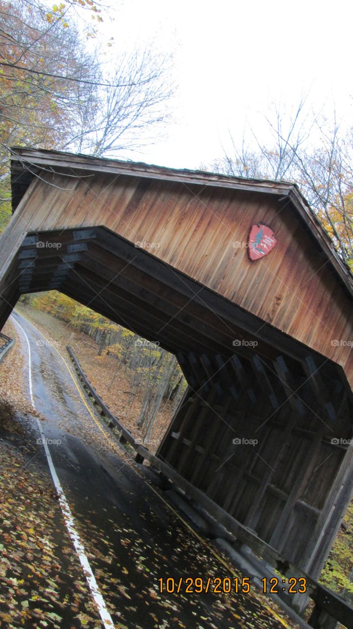 Northern Michigan 