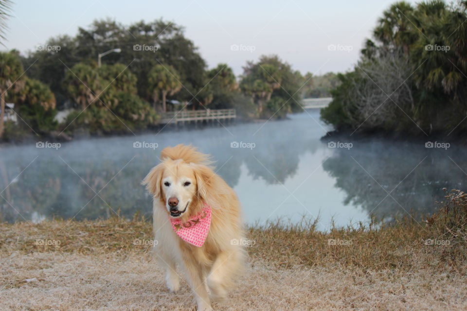 Isn't Florida beautiful, now throw the frisbee!