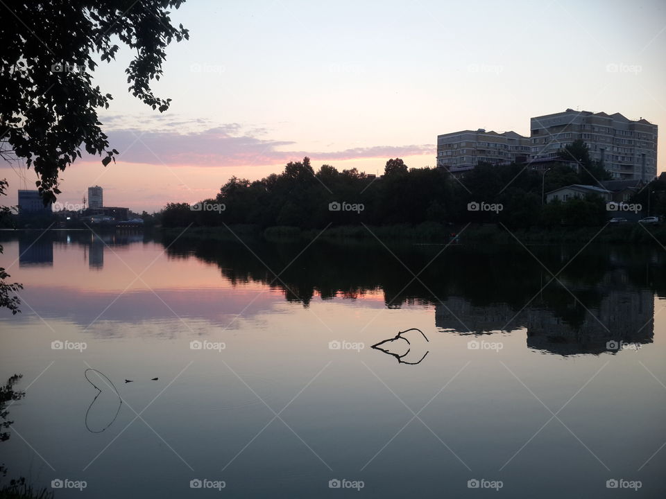 Reflection of buildings and trees in pond