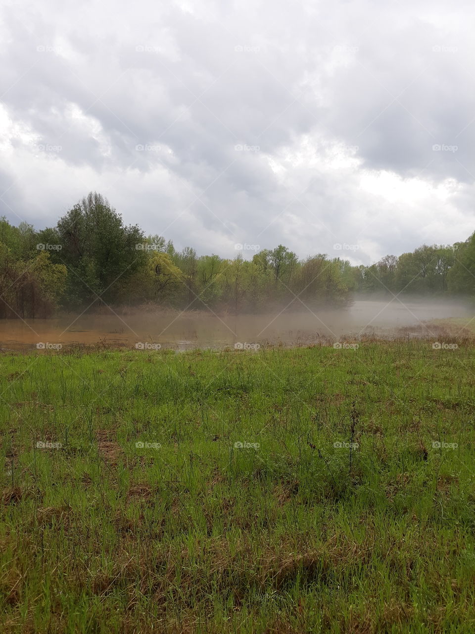 Clouds and fog over flooded land