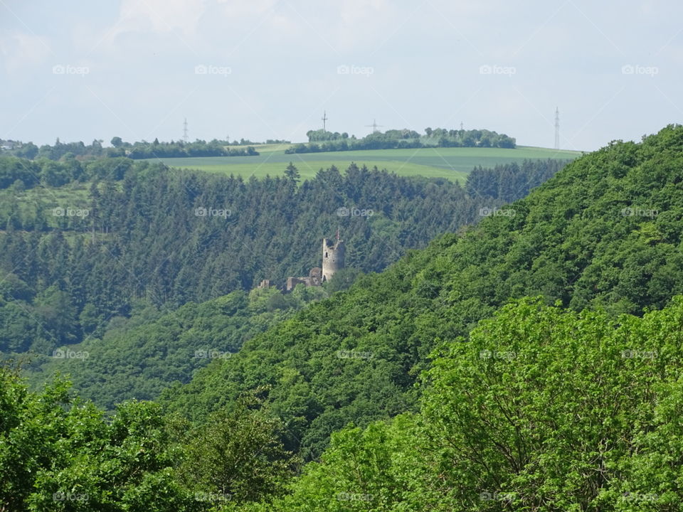 castle in the forest