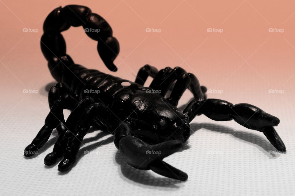 Skorpion 🦂