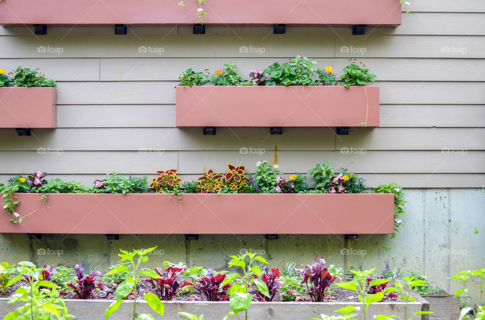 Flower boxes scattered around the siding of a building
