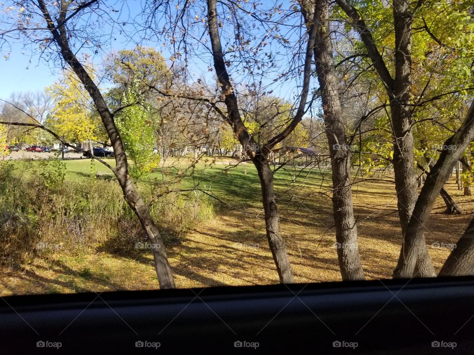 Landscape, Tree, Wood, Nature, Scenic